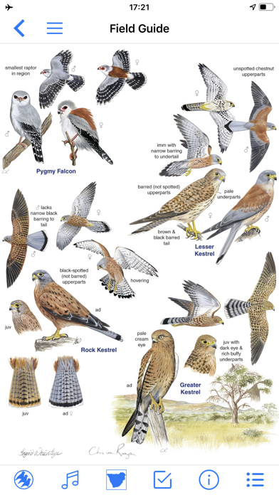 Roberts Bird Guide 2のおすすめ画像2