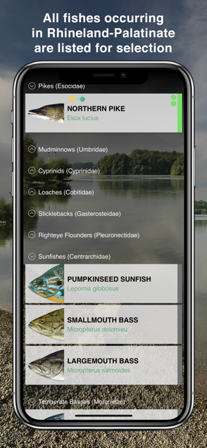 Fishguide Rhineland-Palatinate(圖3)-速報App