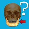 Icon Anatomy Quiz