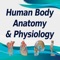 This app is a combination of sets, containing practice questions, study cards, terms & concepts for self-learning & exam preparation on the topic of Human Body Anatomy and Physiology