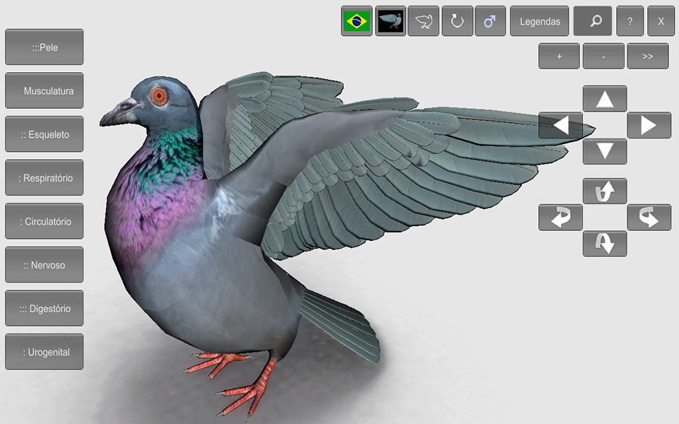 3D Bird Anatomy screenshot 4