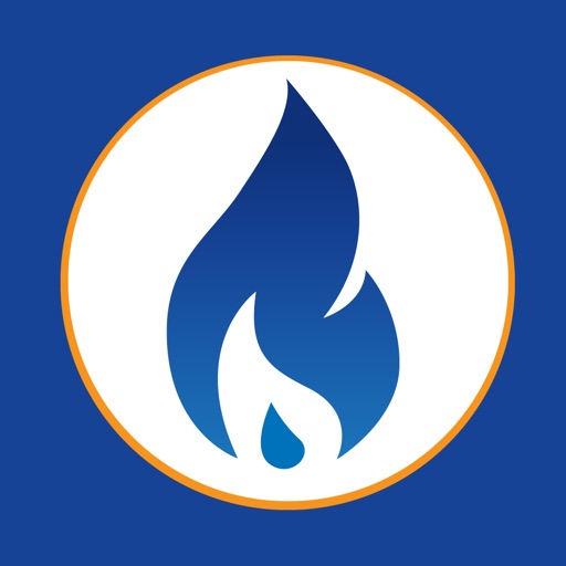 My Blue Flame Wallet Icon