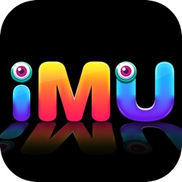 IMU