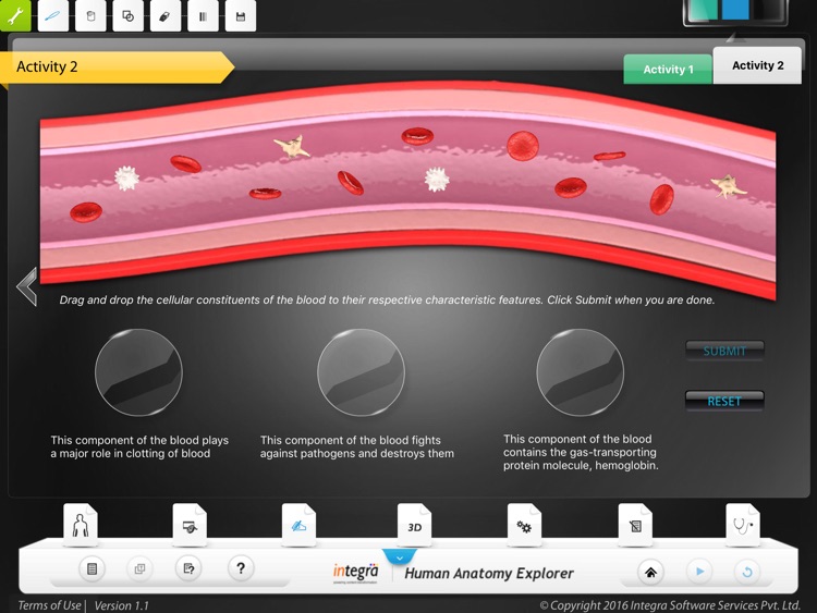 Human Anatomy - Circulatory screenshot-3