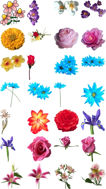 Flower Stickers #2