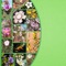 This key is designed for anyone who has an interest in finding out about the plants and fungi of south western New South Wales