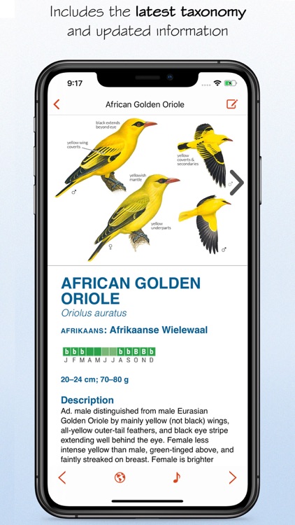 Sasol eBirds Southern Africa