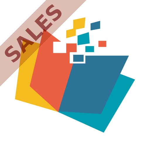 VP Sales icon
