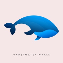 Underwater whale