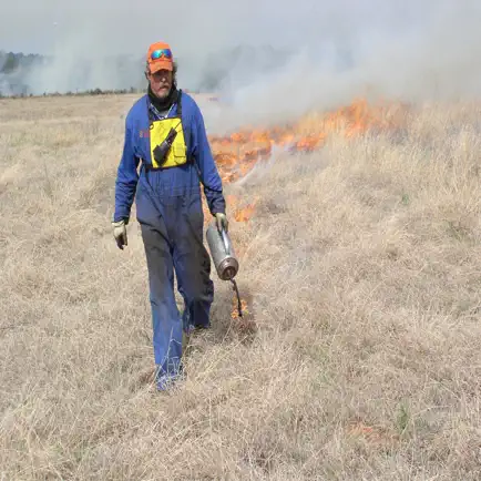 Prescribed Burn Entry Form Cheats