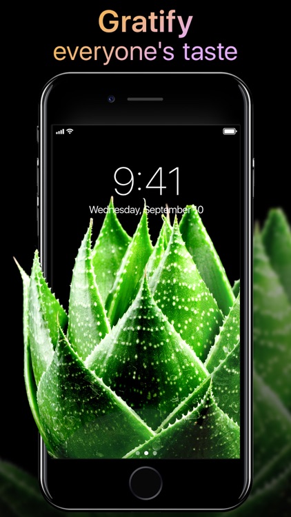 Live Wallpapers Now screenshot-3