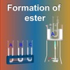 Formation of Ester