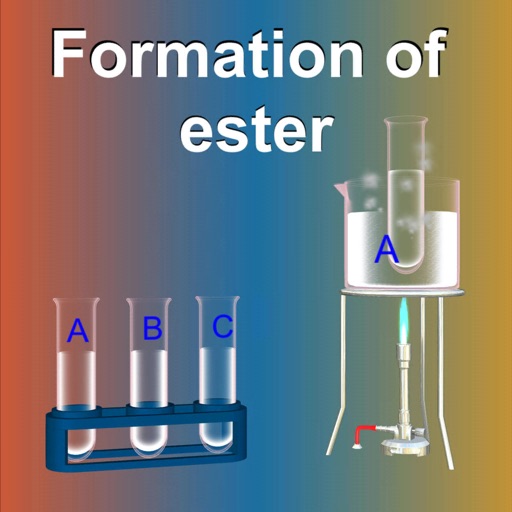 ester formation experiment