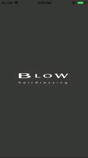 Blow Hairdressing