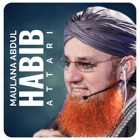 Maulana Abdul Habib