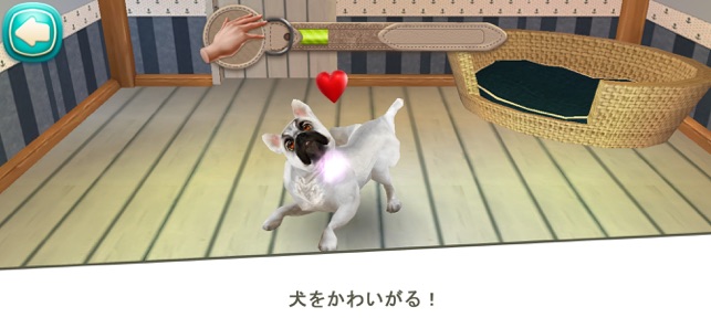 Dog Hotel 犬と遊ぶ をapp Storeで Dog Hotel 犬と遊ぶ をapp Storeで