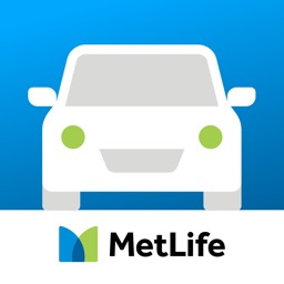 MetLife My Journey