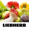 Download the Liebherr BioFresh app and find out lots of valuable information about your food, its vitamins and shelf life