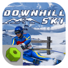 Activities of Downhill Ski