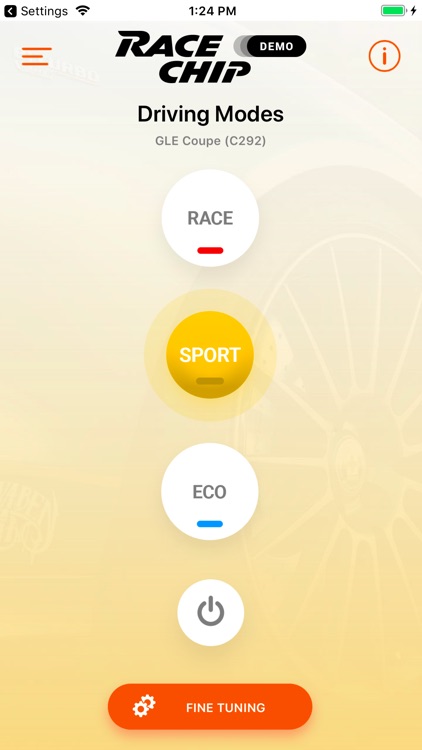 RaceChip+