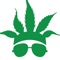 CannaBuzz is a cannabis community platform, a social video & picture app with much more