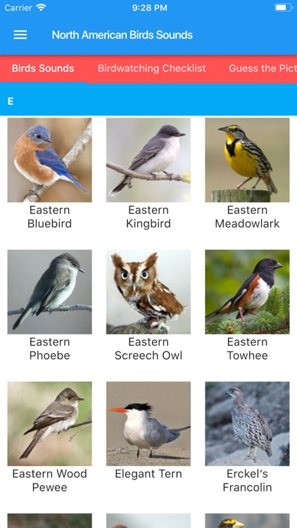 North American Birds and Sound screenshot-4