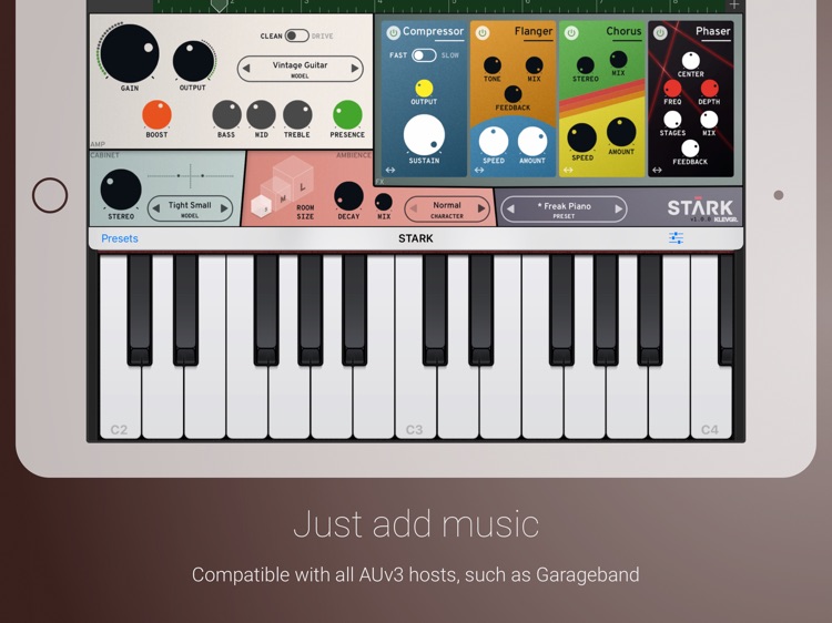 STARK Amp Simulator