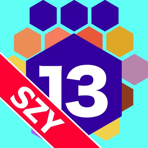 Nintengo 13 Hex by SZY iOS App