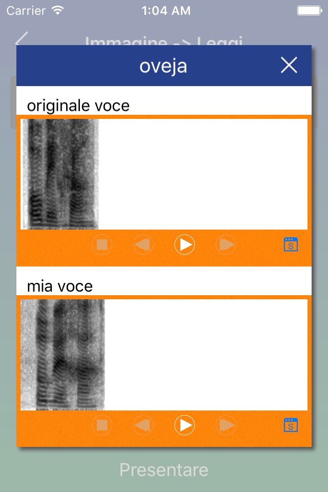 Spanish Word: Basic Vocabulary screenshot 4