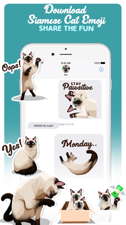 Siamese Cats Emoji Sticker screenshot-4