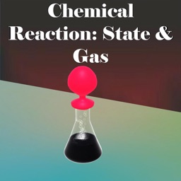 Chemical Reaction: State & Gas