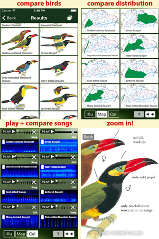 All Birds Colombia field guide screenshot 3