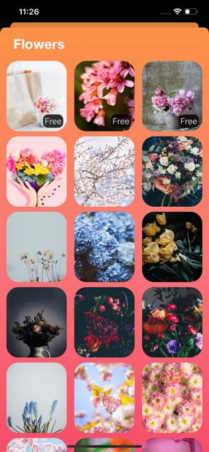 Watch Faces Gallery for Apple(圖7)-速報App