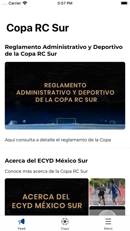 Copa RC Sur