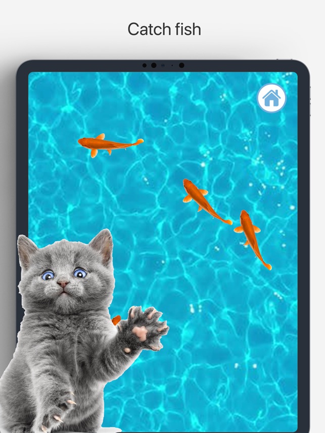 Spelletjes Katten - in de App Store