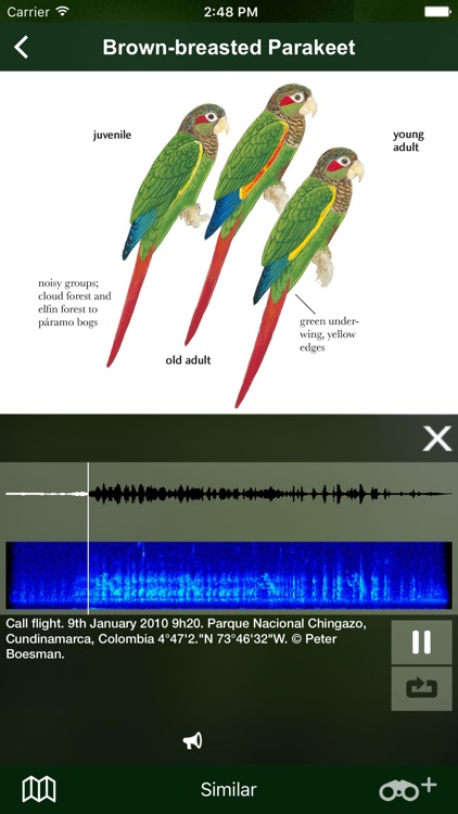All Birds Colombia field guide screenshot-6