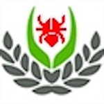 Bay Con Trung Thong Minh