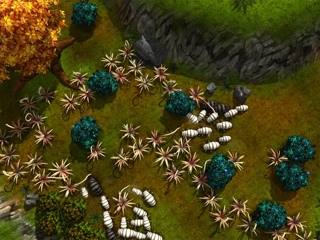 ‎Forest Spirit Screenshot