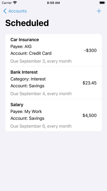 Debit & Credit screenshot-4