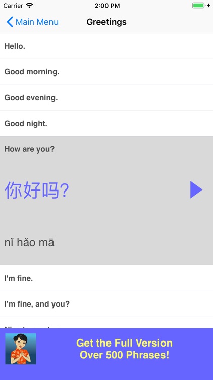 Speak Chinese Phrasebook Lite