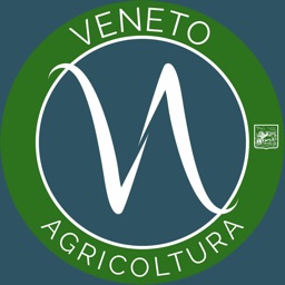 Scopri Pian del Cansiglio