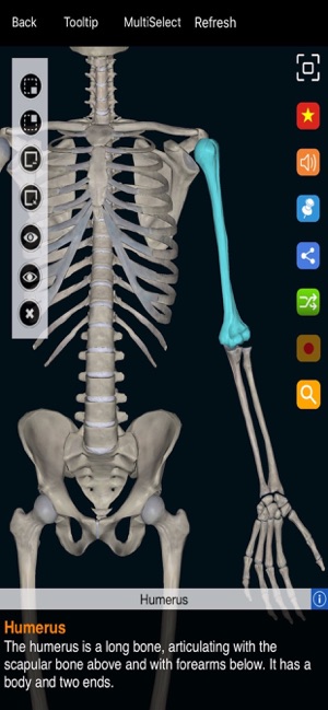 Anatomy Now(圖3)-速報App