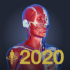 3D人体解剖学 チームラボボディ2020-TEAMLABBODY.inc