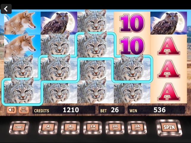 nakoda casino and resort Slot