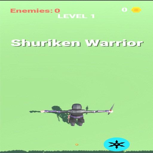 Shuriken Warrior