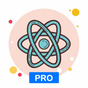 Guide to Learn React v16 [Pro]