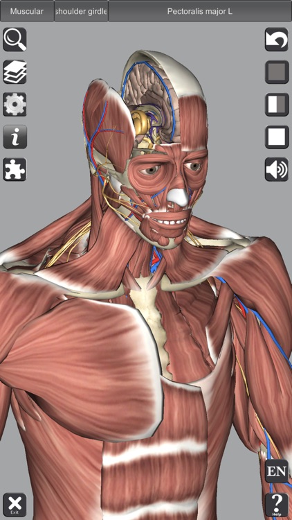 3D Anatomy screenshot-8