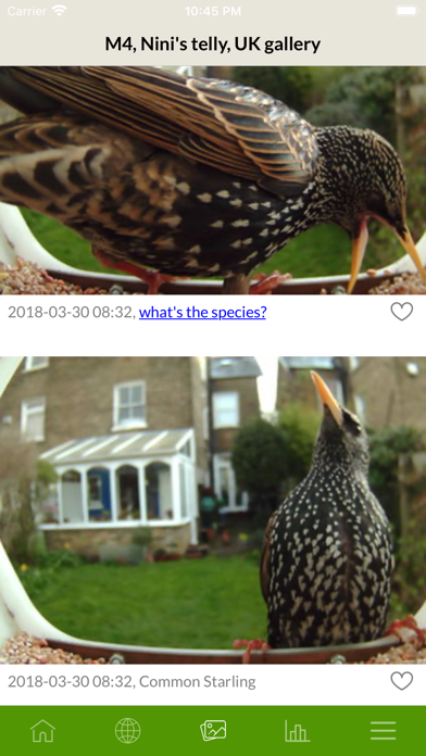 Etnobird Smart Bird Feeder screenshot 4