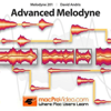 Nonlinear Educating Inc. - Advanced Course for Melodyne アートワーク