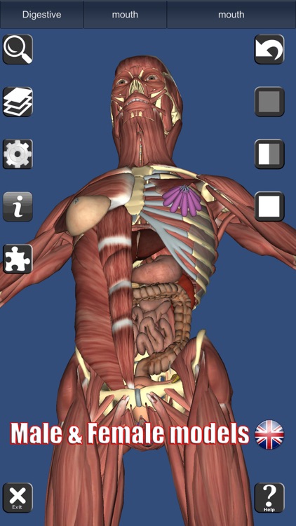 3D Anatomy Learning screenshot-6